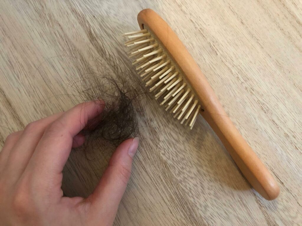 Brosse à cheveux