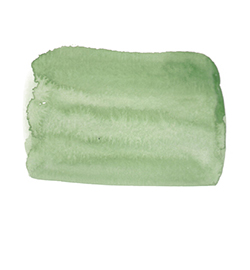 Illustration shampoing 1
