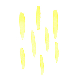 Illustration 4