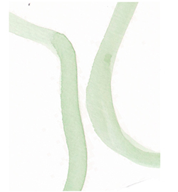 Illustration 5