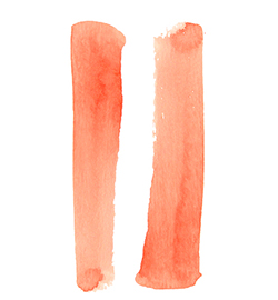 illustration ingrédient shampoing